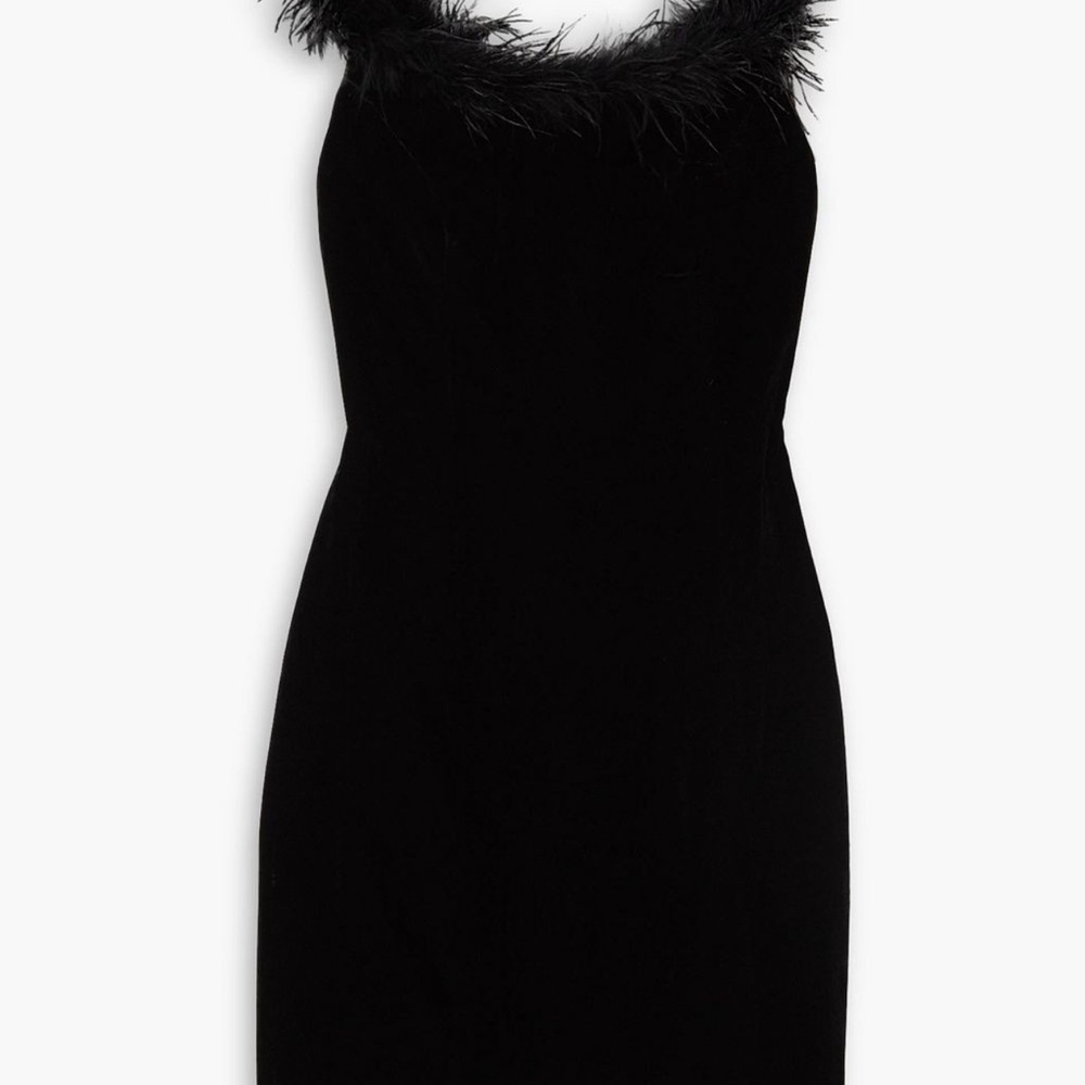 Lena Black Feather-Trim Rixo Dress